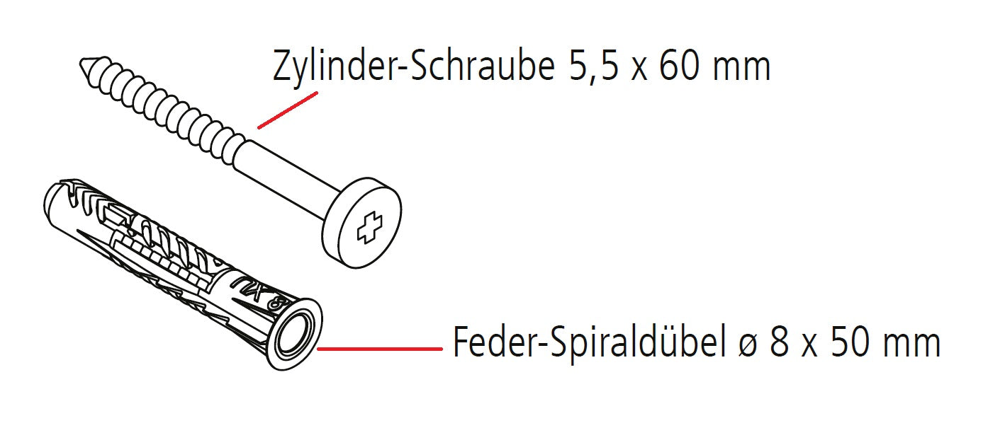 Nolte Zylinder-Schraube / Dübel