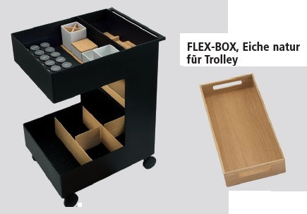 Next125 Flex-Box Eiche natur für Trolley